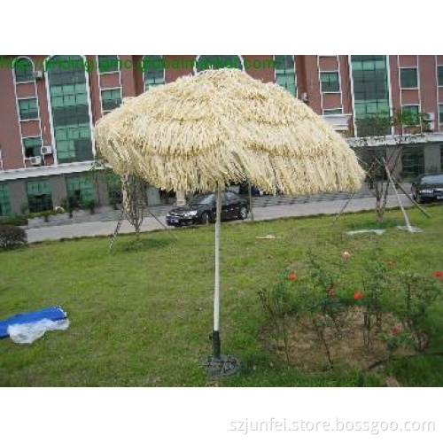 Sun Umbrella
